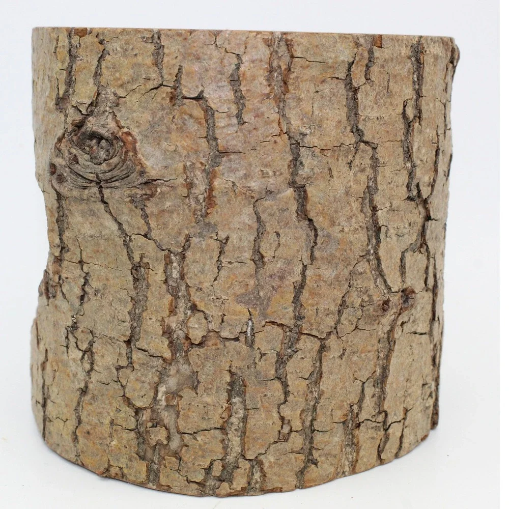 Unbranded Nativity Log Candle Holder Unisex Medium Brown Good Rustic Wood Bark